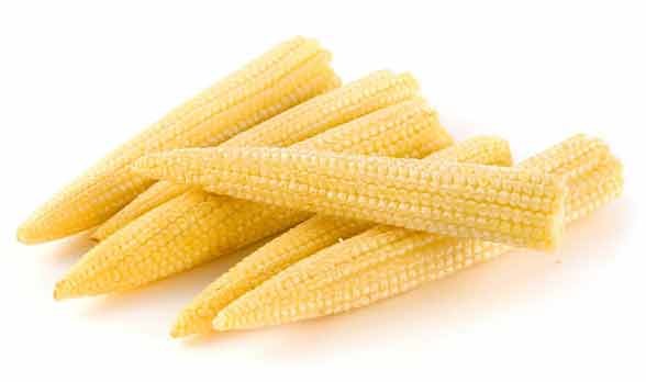 Baby Corn