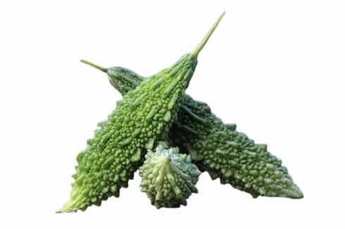 Bitter-Gourd