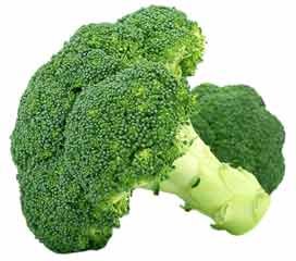 Broccoli