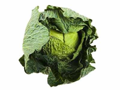 Cabbage