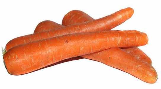 Carrot