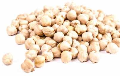 Chickpea