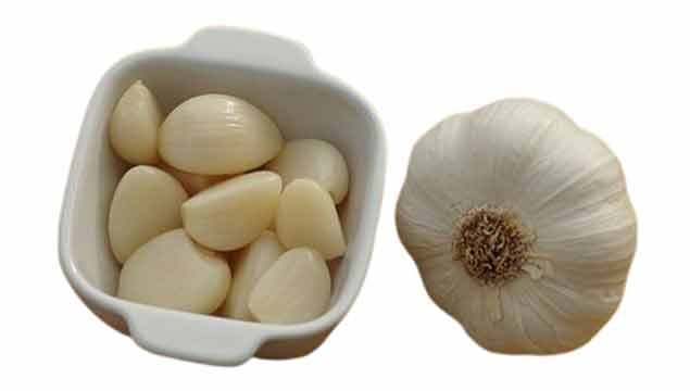 Garlic