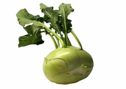Kohlrabi