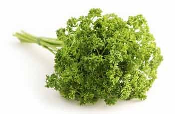 Parsley