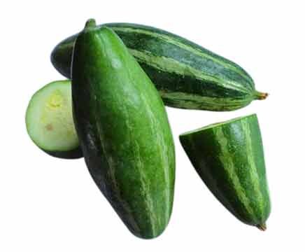 Pointed-Gourd