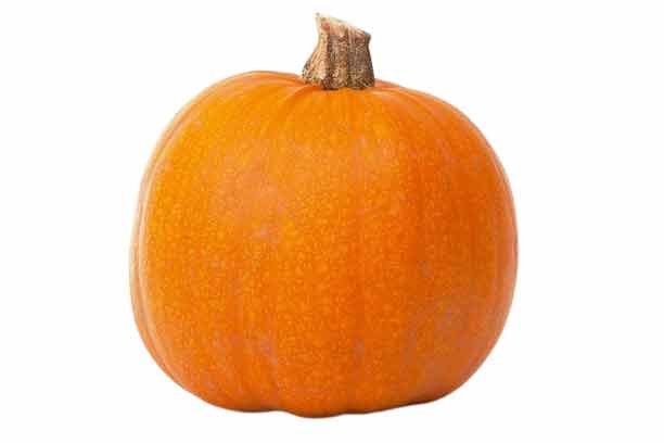 Pumpkin