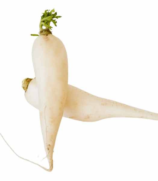 Radish
