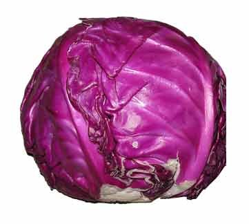Red Cabbage