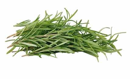 Rosemary