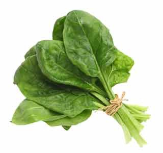 Spinach 