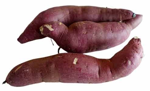 Sweet-Potato