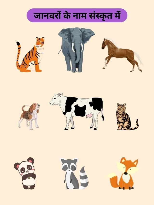 50 Animals Name in Sanskrit | संस्कृत में जानवरों के नाम